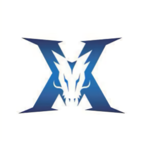 对手制定的 对手制定的